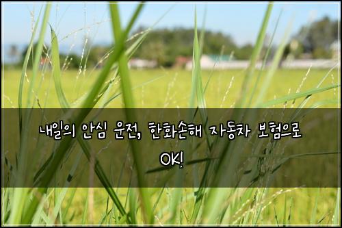  내일의 안심 운전, 한화손해 자동차 보험으로 OK!