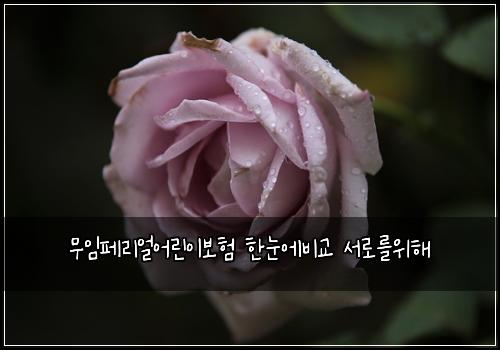 무임페리얼어린이보험 한눈에비교  서로를위해