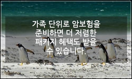 오늘의 이미지