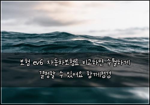 보ν ev6 μλ차보νλ£ λΉκ΅νλ©΄ μμνκ² κ²°μ ν μ μμ΄μ ν¨κ»μ κ²