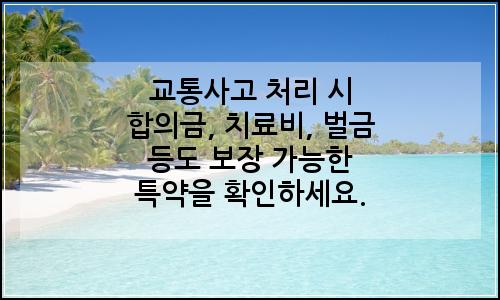 오늘의 이미지