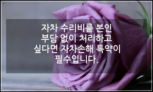 오늘의 이미지