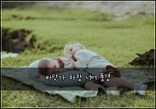 바닷가 차창 너머 풍경