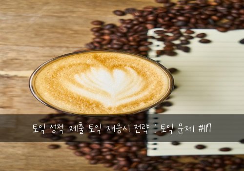 토익 성적 제출 토익 재응시 전략 : 토익 문제 #117