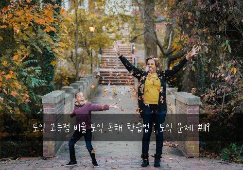 토익 고득점 비율 토익 독해 학습법 : 토익 문제 #119