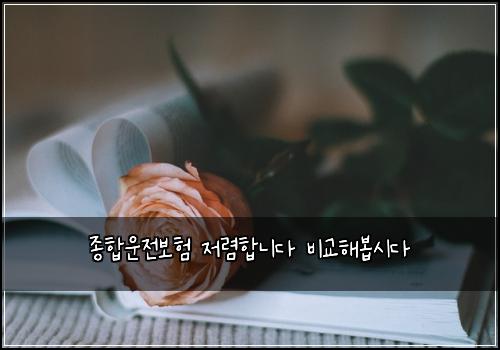 종합운전보험 저렴합니다  비교해봅시다