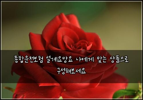 종합운전보험 설계요망요  나에게 맞는 상품으로 구성해보세요