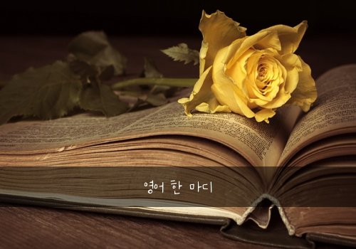 영어 한 마디