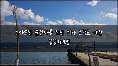  스마트한 운전자를 위한 신차 보험료 계산 꼼꼼체크법