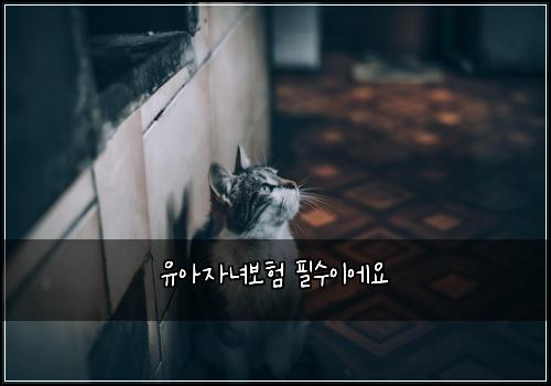 ์ ์์๋
๋ณดํ ํ์์ด์์