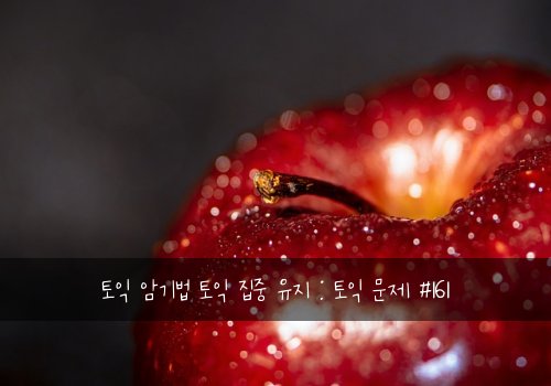 토익 암기법 토익 집중 유지 : 토익 문제 #161