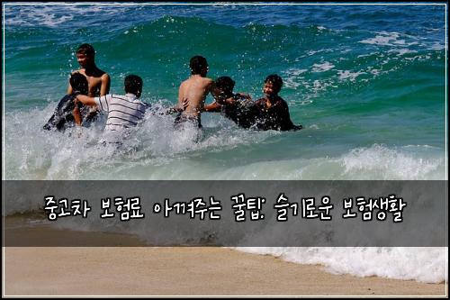 중고차 보험료 아껴주는 꿀팁: 슬기로운 보험생활