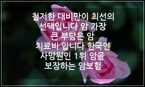오늘의 이미지