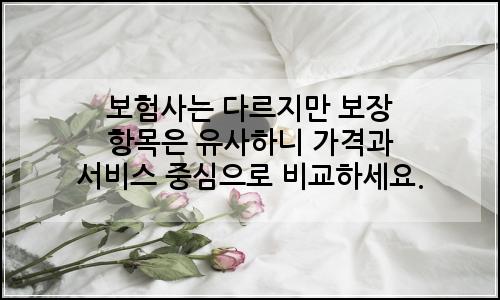 오늘의 이미지