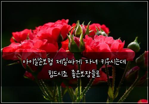 ์์ด์ค์๋ณดํ ์ ์ผ์ธ๊ฒ ์๋
ํค์ฐ์๋๋ฐ ํ๋์์ฃ ์ข์๋ณด์ฅ๋ค๋ก