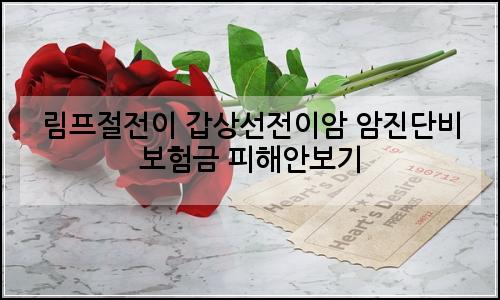 오늘의 이미지