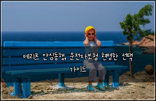 메리츠 안심동행, 운전자보험 현명한 선택 가이드