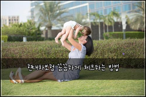 현대차보험 꼼꼼하게 체크하는 방법