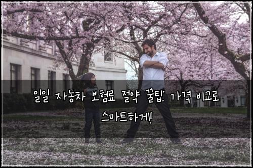 일일 자동차 보험료 절약 꿀팁: 가격 비교로 스마트하게!