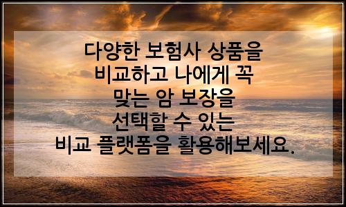 오늘의 이미지