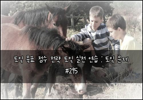 토익 목표 점수 전략 토익 실전 연습 : 토익 문제 #295