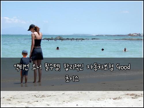 액티언 오너 필수템! 합리적인 자동차보험 Good 초이스