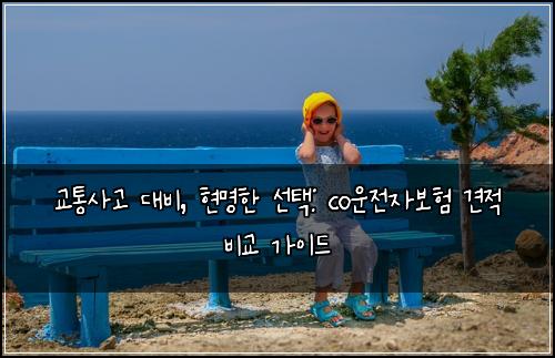  교통사고 대비, 현명한 선택: co운전자보험 견적 비교 가이드