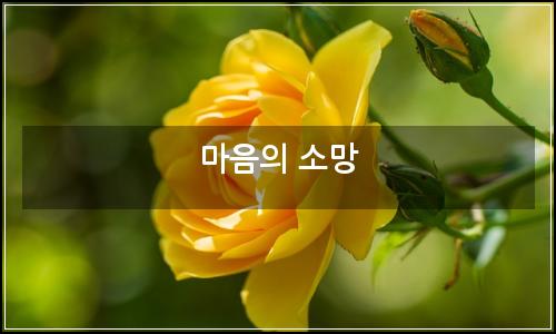 오늘의 이미지