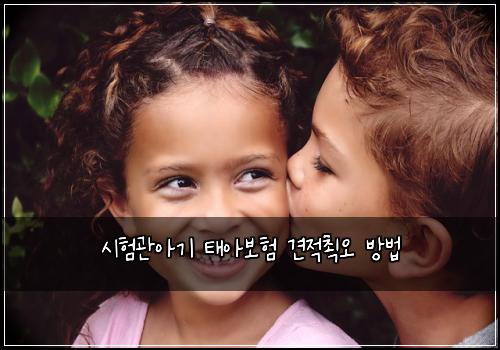 ์ํ๊ด์๊ธฐ ํ์๋ณดํ ๊ฒฌ์ ์ต์ค ๋ฐฉ๋ฒ
