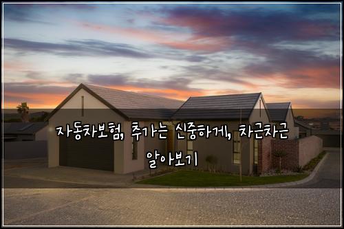  자동차보험, 추가는 신중하게, 차근차근 알아보기