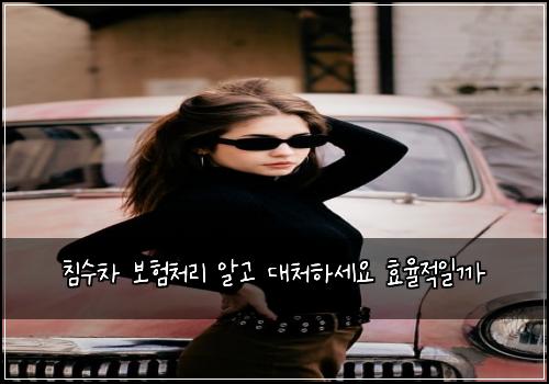 침수차 보험처리 알고 대처하세요 효율적일까
