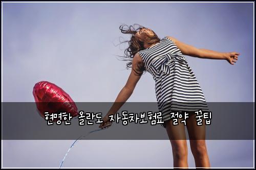  현명한 올란도 자동차보험료 절약 꿀팁
