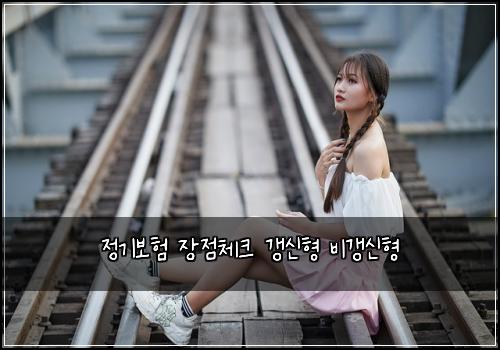 정기보험 장점체크  갱신형 비갱신형