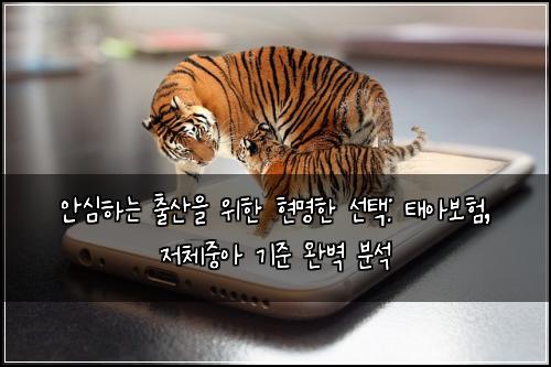  안심하는 출산을 위한 현명한 선택: 태아보험, 저체중아 기준 완벽 분석