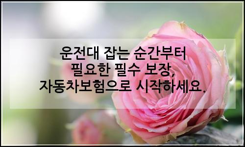 오늘의 이미지