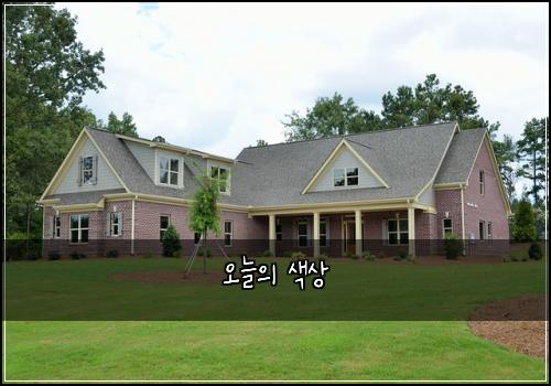 오늘의 색상