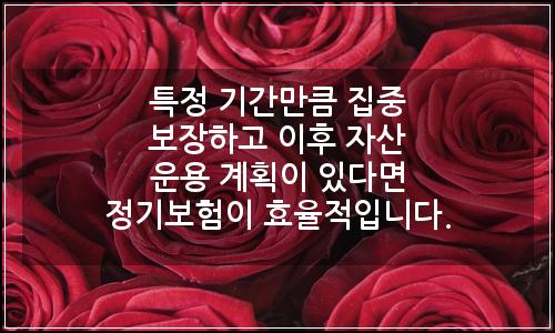 오늘의 이미지