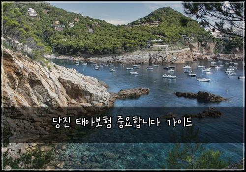 ๋น์ง ํ์๋ณดํ ์ค์ํฉ๋๋ค ๊ฐ์ด๋