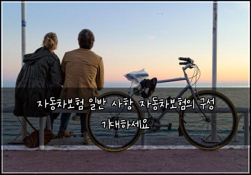 자동차보험 일반 사항 자동차보험의 구성 기대하세요