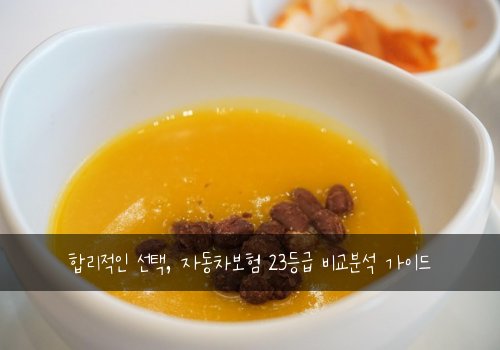  합리적인 선택, 자동차보험 23등급 비교분석 가이드