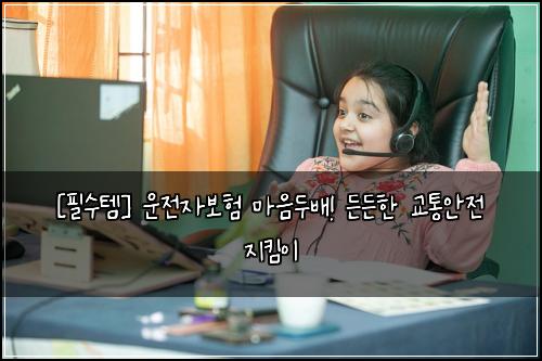  [필수템] 운전자보험 마음두배! 든든한 교통안전 지킴이