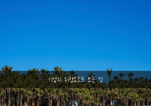 기업의 위험요소로 보는 것