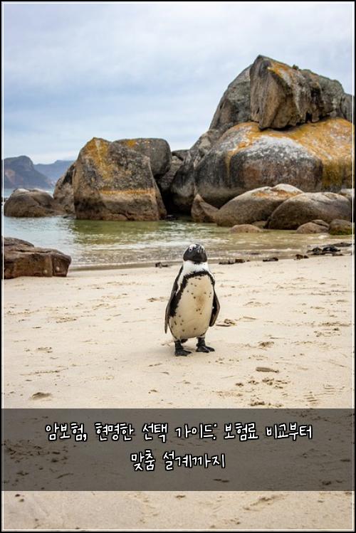 암보험, 현명한 선택 가이드: 보험료 비교부터 맞춤 설계까지