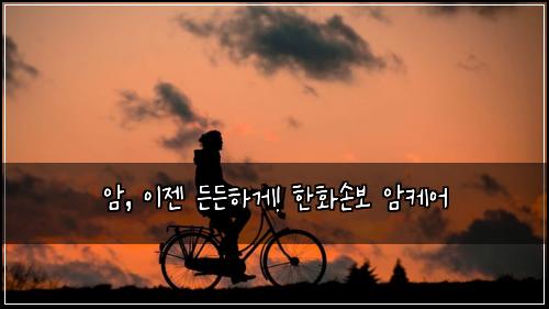  암, 이젠 든든하게! 한화손보 암케어