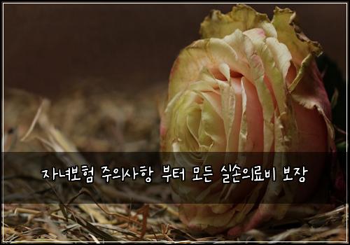 자녀보험 주의사항  부터 모든 실손의료비 보장