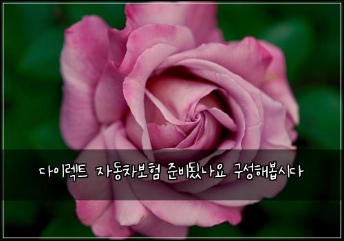 다이렉트 자동차보험 준비됬나요  구성해봅시다