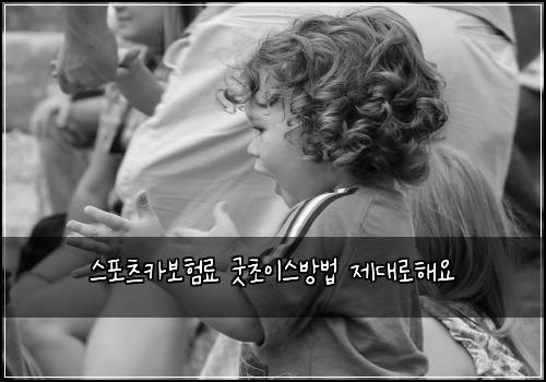 ์คํฌ์ธ ์นด๋ณดํ๋ฃ ๊ตฟ์ด์ด์ค๋ฐฉ๋ฒ ์ ๋๋กํด์
