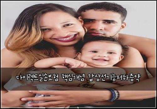 ๋ค์ด๋ ํธ์ค์๋ณดํ ํต์ฌ๊ฐ๋
๊ฐ์์ ๊ธฐ๋ฅ์ ํ์ฆ์ฝ
