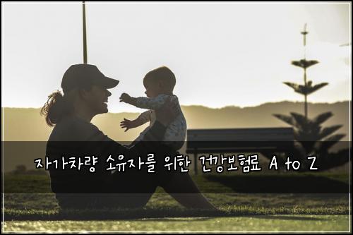 자가차량 소유자를 위한 건강보험료 A to Z