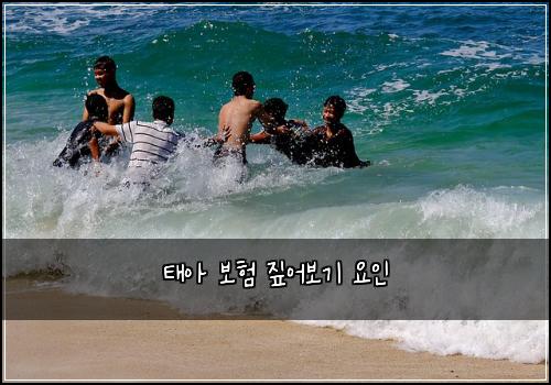 태아 보험 짚어보기  요인